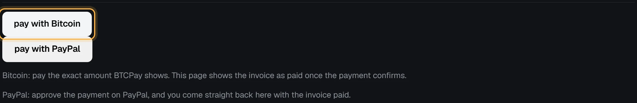 The payment box under an open invoice: the pay with Bitcoin button outlined, a pay with PayPal button below it, and notes to pay the exact amount BTCPay shows or approve the payment on PayPal